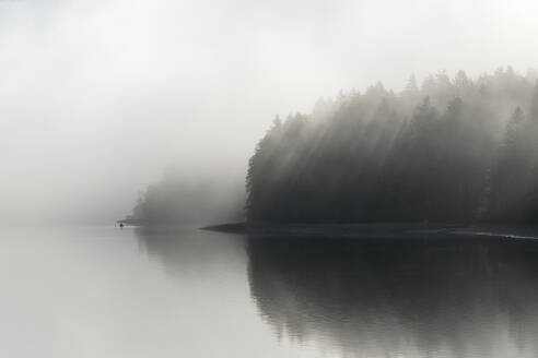 Deutschland, Bayern, Walchensee in dichten Nebel gehüllt - RUEF04319