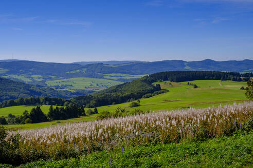 Germany, Hesse, View from Wasserkuppe mountain in summer - LBF03886