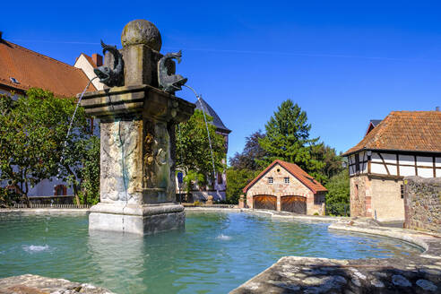 Germany, Hesse, Tann, Historic fountain at Schloss Tann castle - LBF03892