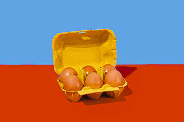 Eierkarton vor rotem und blauem Hintergrund - RDTF00045