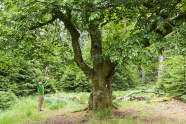 Man with arms raised standing by beech tree in forest - GWF08008