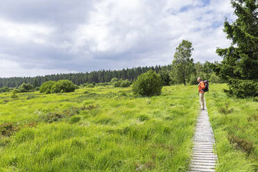 Älterer Mann beim Wandern auf einer grünen Wiese unter bewölktem Himmel - GWF08010