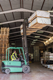 Forklift worker carrying wood pallets at warehouse - DLTSF03795