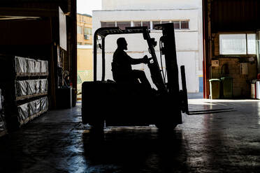 Mature worker driving forklift at factory - DLTSF03802