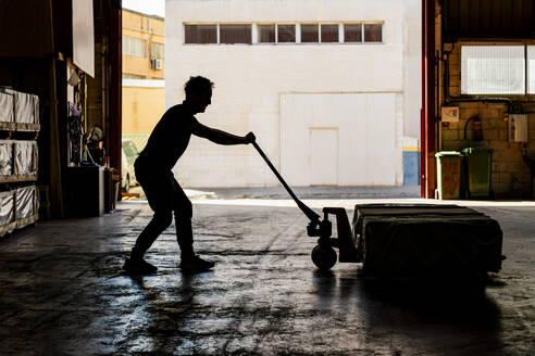 Worker pushing pallet jack at warehouse - DLTSF03803
