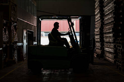 Warehouse worker operating forklift near pallets - DLTSF03815