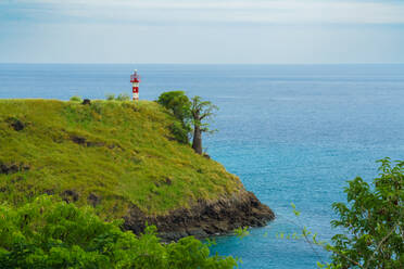 A serene lighthouse sits atop a verdant cliff overlooking the azure waters of the North coast, with a lone tree accentuating the tranquil scene. - ADSF52965