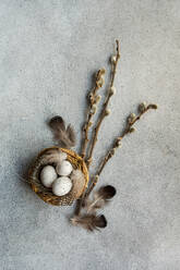 Von oben von einem Flatlay zum Thema Ostern, das ein Nest mit gesprenkelten Eiern zeigt, umgeben von weichen Federn und Weidenzweigen auf einem strukturierten Hintergrund - ADSF52992