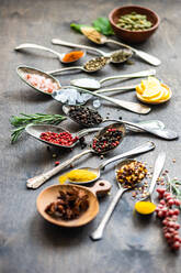 Variety of spices and seeds, including sunflower seeds, anise stars, and rosemary, artfully arranged in spoons on a textured surface with lemon slices adding a fresh touch - ADSF52997