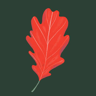 Eine wunderschön gerenderte Illustration eines roten Eichenblatts mit detaillierten Adern und einem lebhaften Farbton vor einem kontrastierenden dunkelgrünen Hintergrund. Generatives AI-Bild - ADSF53015