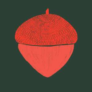 A vibrant red acorn drawing, with a detailed texture, set against a contrasting dark backdrop. Generative AI image - ADSF53020