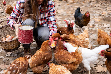 Happy young farmer woman hand feeding corn to chickens. Animal welfare and care on an organic farm. - ADSF53025