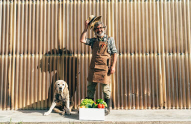 Ein älterer Landwirt bei der Arbeit auf seinem Bauernhof und in seinem Gewächshaus - ein Konzept für die Landwirtschaft, die Farnindustrie und eine gesunde Lebensweise im Alter - DMDF09913