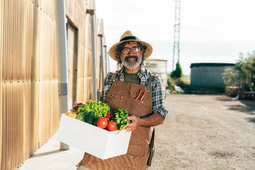 Ein älterer Landwirt bei der Arbeit auf seinem Bauernhof und in seinem Gewächshaus - ein Konzept für die Landwirtschaft, die Farnindustrie und eine gesunde Lebensweise im Alter - DMDF09914