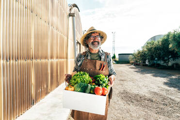 Ein älterer Landwirt bei der Arbeit auf seinem Bauernhof und in seinem Gewächshaus - ein Konzept für die Landwirtschaft, die Farnindustrie und eine gesunde Lebensweise im Alter - DMDF09917