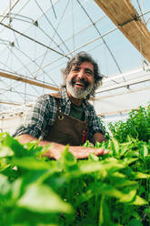 Farmer senior man working in his farm and greenhouse. Concept about agriculture, farn industry, and healthy lifestyle during seniority age - DMDF09937