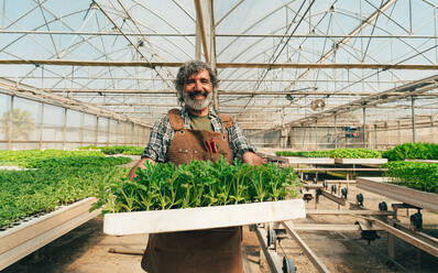 Farmer senior man working in his farm and greenhouse. Concept about agriculture, farn industry, and healthy lifestyle during seniority age - DMDF09950