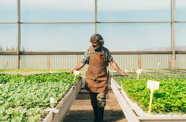 Farmer senior man working in his farm and greenhouse. Concept about agriculture, farn industry, and healthy lifestyle during seniority age - DMDF09953