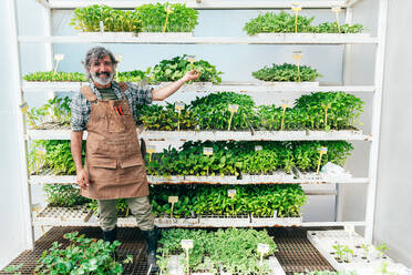 Farmer senior man working in his farm and greenhouse. Concept about agriculture, farn industry, and healthy lifestyle during seniority age - DMDF09980