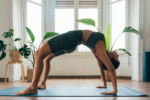 Schönes sportliches Mädchen beim Yoga-Training im Fitness-Studio. Junge Trainerin mit kurzen Haaren, die Yoga- und Acroyoga-Posen ausführt und sich für den Kurs aufwärmt. Konzepte für einen gesunden Lebensstil und Sportdisziplinen - DMDF09993