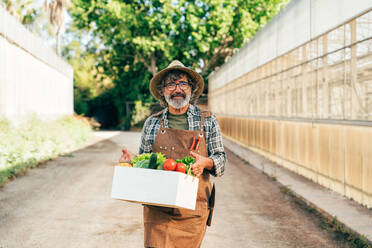 Ein älterer Landwirt bei der Arbeit auf seinem Bauernhof und in seinem Gewächshaus - ein Konzept für die Landwirtschaft, die Farnindustrie und eine gesunde Lebensweise im Alter - DMDF10002