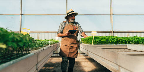 Farmer senior man working in his farm and greenhouse. Concept about agriculture, farn industry, and healthy lifestyle during seniority age - DMDF10012