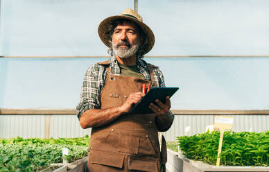 Ein älterer Landwirt bei der Arbeit auf seinem Bauernhof und in seinem Gewächshaus - ein Konzept für die Landwirtschaft, die Farnindustrie und eine gesunde Lebensweise im Alter - DMDF10015