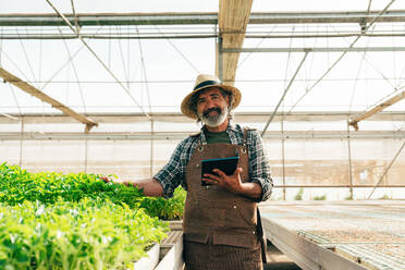 Farmer senior man working in his farm and greenhouse. Concept about agriculture, farn industry, and healthy lifestyle during seniority age - DMDF10020