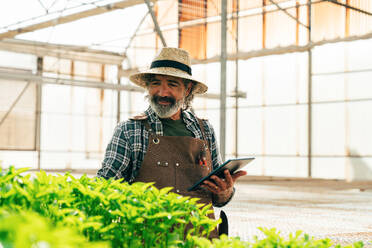 Farmer senior man working in his farm and greenhouse. Concept about agriculture, farn industry, and healthy lifestyle during seniority age - DMDF10026