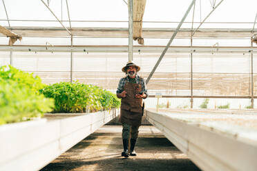 Farmer senior man working in his farm and greenhouse. Concept about agriculture, farn industry, and healthy lifestyle during seniority age - DMDF10027