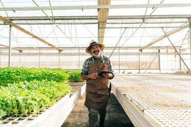 Farmer senior man working in his farm and greenhouse. Concept about agriculture, farn industry, and healthy lifestyle during seniority age - DMDF10032
