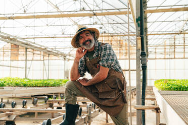 Ein älterer Landwirt bei der Arbeit auf seinem Bauernhof und in seinem Gewächshaus - ein Konzept für die Landwirtschaft, die Farnindustrie und eine gesunde Lebensweise im Alter - DMDF10041