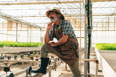 Farmer senior man working in his farm and greenhouse. Concept about agriculture, farn industry, and healthy lifestyle during seniority age - DMDF10042