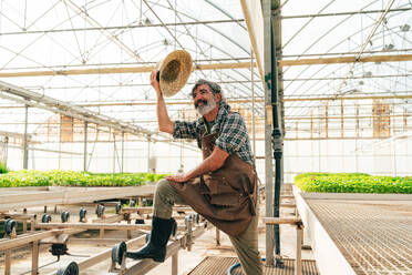 Ein älterer Landwirt bei der Arbeit auf seinem Bauernhof und in seinem Gewächshaus - ein Konzept für die Landwirtschaft, die Farnindustrie und eine gesunde Lebensweise im Alter - DMDF10043