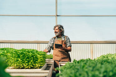 Farmer senior man working in his farm and greenhouse. Concept about agriculture, farn industry, and healthy lifestyle during seniority age - DMDF10051