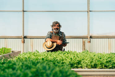 Ein älterer Landwirt bei der Arbeit auf seinem Bauernhof und in seinem Gewächshaus - ein Konzept für die Landwirtschaft, die Farnindustrie und eine gesunde Lebensweise im Alter - DMDF10052