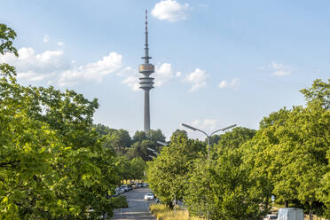 Olympiaturm hinter grünen Bäumen in München, Bayern, Deutschland - MAMF02937