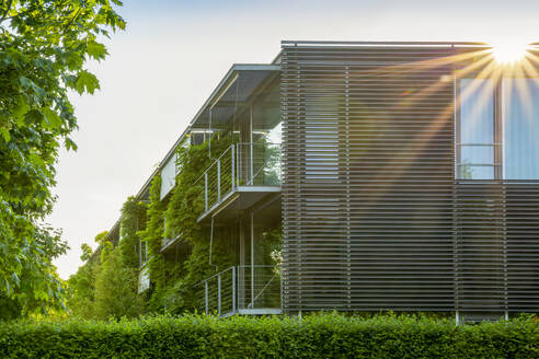 Modern buildings in Munich, Bavaria, Germany on sunny day - MAMF02943