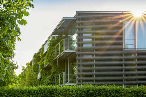 Moderne Gebäude in München, Bayern, Deutschland an einem sonnigen Tag - MAMF02943