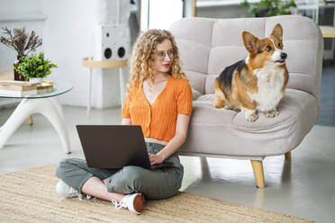 Freiberufler sitzt mit Laptop in der Nähe von Hund im Büro zu Hause - MDOF01848