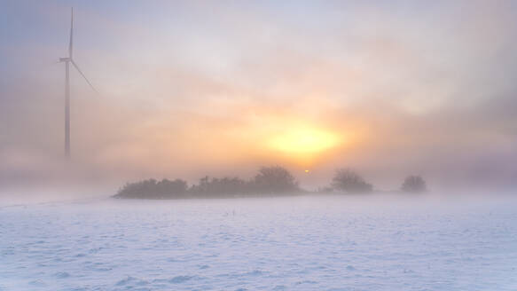 Deutschland, Hessen, Hunfelden, Schnee vor Wäldchen und Windrad bei nebligem Wintersonnenaufgang - MHF00774