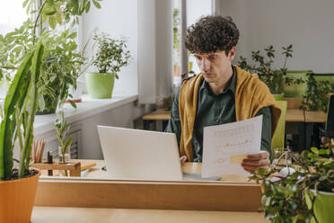 Businessman working on laptop near plants in office - YTF01895