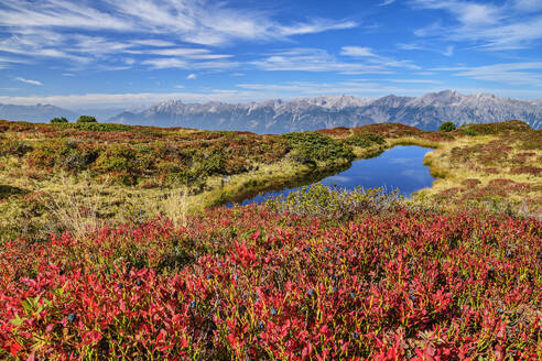 Österreich, Tirol, Kleiner See in den Tuxer Alpen mit Karwendelgebirge im Hintergrund - ANSF00763