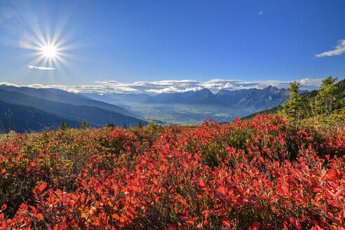 Österreich, Tirol, Sonnenschein über roter Flora in den Tuxer Alpen - ANSF00776