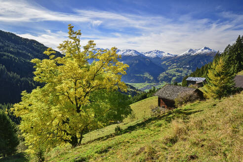 Österreich, Tirol, Einsam gelegene Hütte mit Blick auf das Alpbachtal - ANSF00781