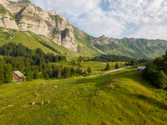 Idyllic view of the Appenzell region with cows grazing on lush green fields against a backdrop of majestic mountains and a clear sky. - ADSF53175