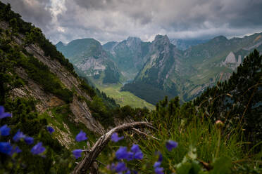 Stunning view of a lush green Alpine valley with jagged peaks and vibrant wildflowers under a moody sky. - ADSF53176