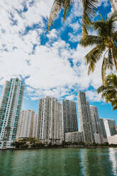 Miami's impressive skyline rises beside the tranquil waters, framed by lush palm trees and a cloudy blue sky. - ADSF53193