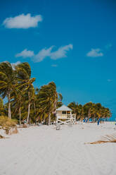 A picturesque Miami Beach scene featuring a lifeguard tower amid swaying palm trees against a vibrant blue sky. - ADSF53194