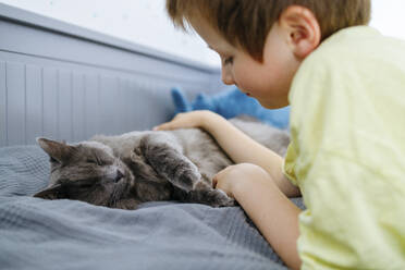 Junge streichelt Katze, die zu Hause auf dem Bett liegt - ELMF00050